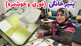 طرز تهیه پنیر مقوی خانگی ، غذای ساده و فوری ، آشپزی سنتی ایرانی