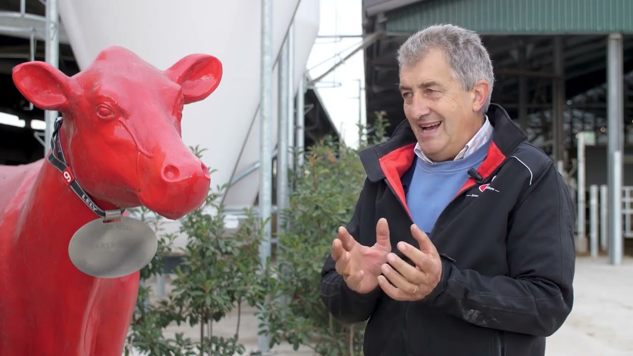 Az. Agr. Fedeli | Un grande allevamento con 9 robot di mungitura Lely Astronaut