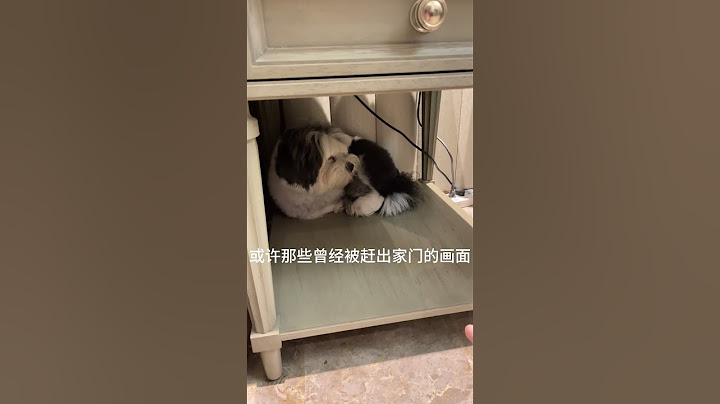 它真的好让人心疼，它的世界原来真的只有我！唯有我！#小狗的爱是永远的  #信任 #狗狗 #领养代替购买 #这个世界不能没有小狗