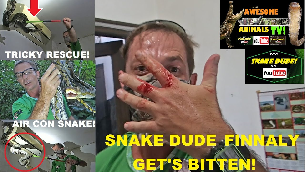 SNAKE BITES Snake Dude on YouTube! BIG SNAKE BITES BITTEN Top 10