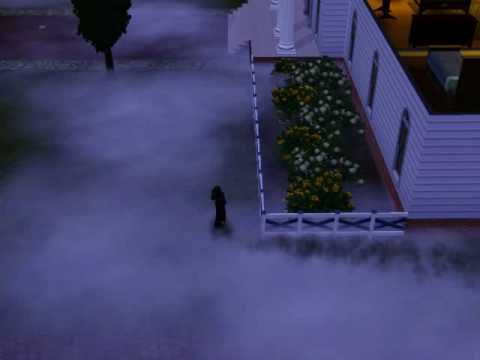 Sims 3 Ambitions Ghost Hunting job gone wrong.
