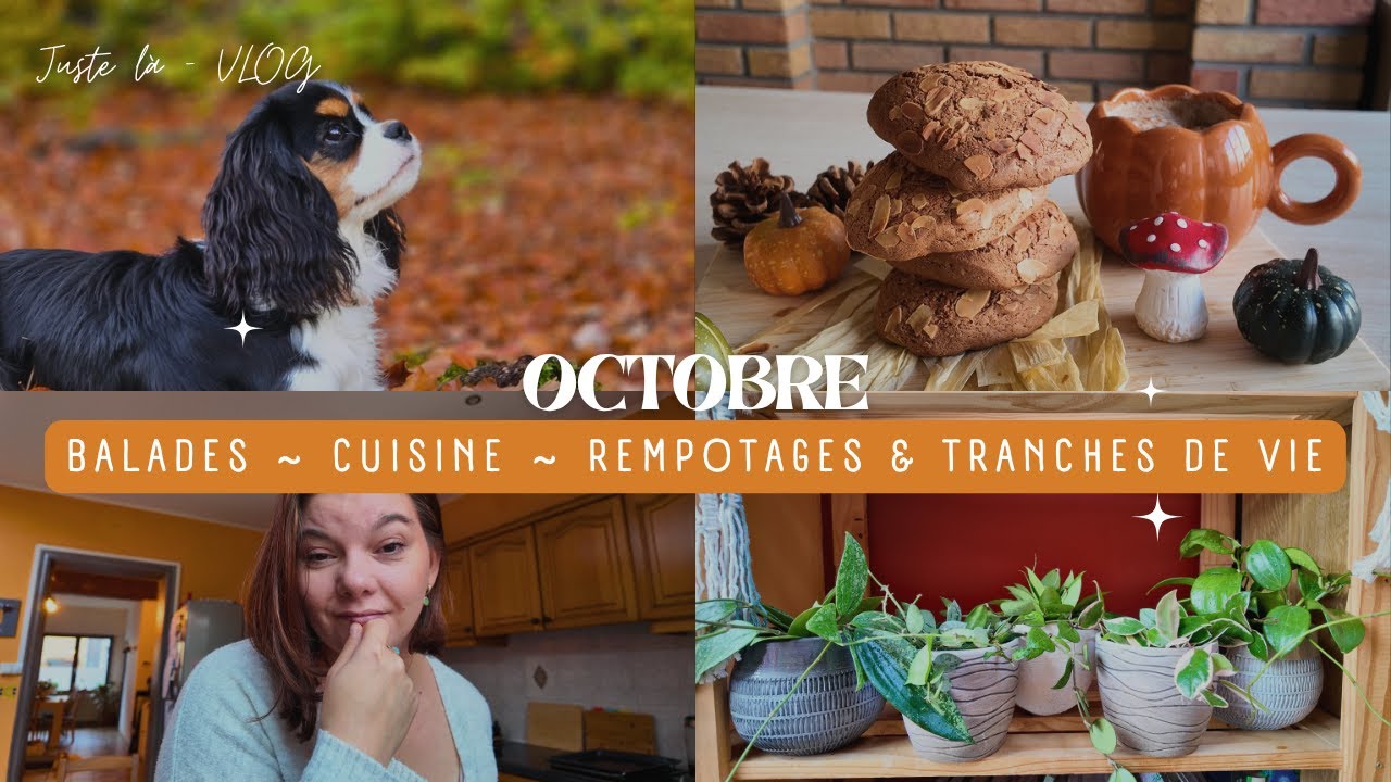 🍁Vlog octobre : nature, rempotages , cuisine et tranches de vie | Juste là