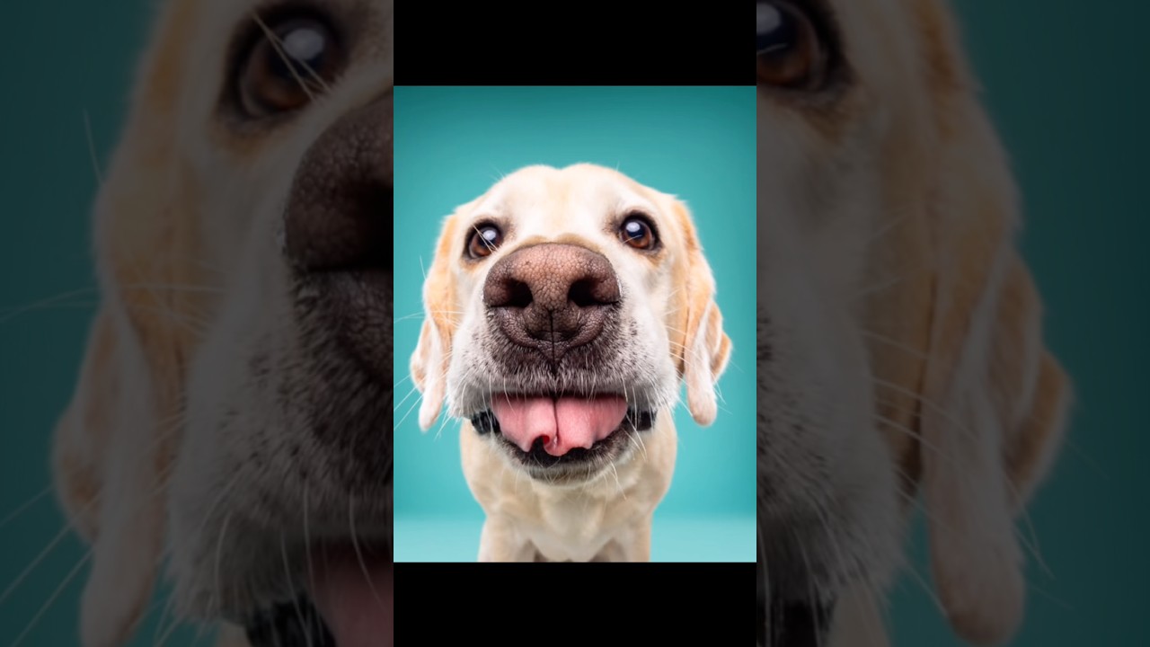 You just wanted ONE nice photo 😂Somehow these end up being your favourites 🐾