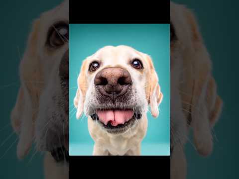 You just wanted ONE nice photo ๐Somehow these end up being your favourites ๐พ