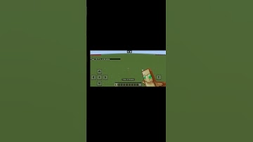 Slime Block+ Totem of undying mlg