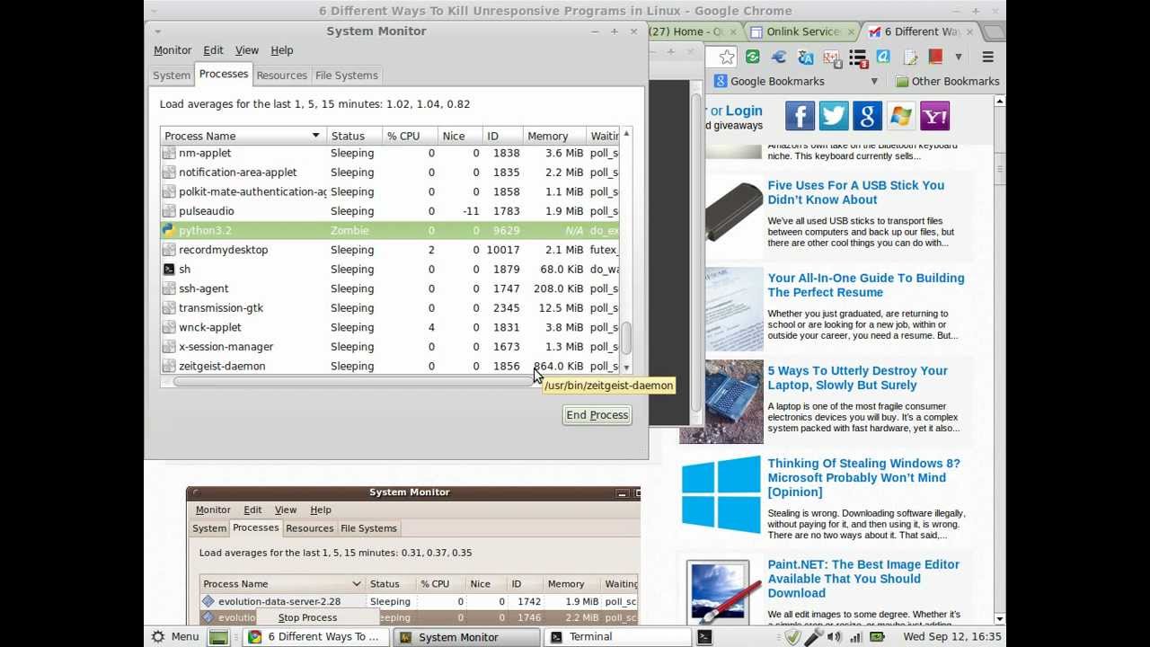 linux mint 13 using system monitor to kill unresponsive applications