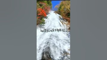 روائع التلاوات للشيخ ياسر الدوسري