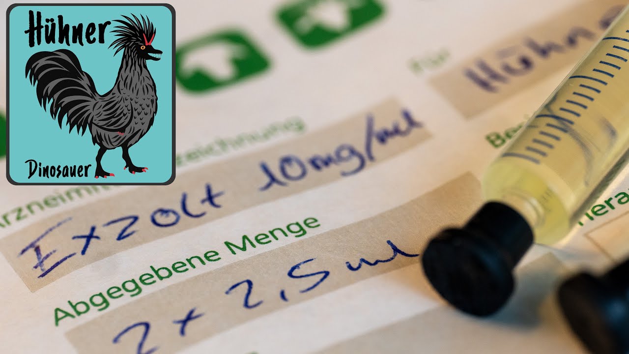 🩸🕷 Rote Vogelmilbe bekämpfen bei 🐔 Hühnern mit dem Medikament Exzolt