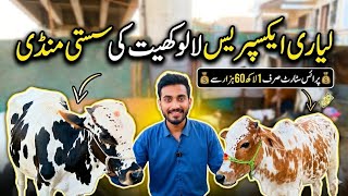 Karachi ki Sasti Mandi I Animal Vlog I Lyari Express k Janwar