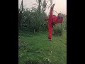 #viralrshortvideo #Graon horse kick upper horse kick #lifeisbutadream #song