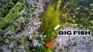 Warm Water Fishing Tactics | Finding Fish Deep in the Bushes