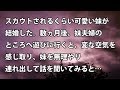 【修羅場 衝撃】スカウトされるくらい可愛い妹が結婚した。数ヵ月後、妹夫婦のところへ遊びに行くと、変な空気を感じ取り、妹を無理やり連れ出して話を聞いてみると… 【修羅場・衝撃体験をお送りします】