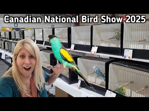 Show Birds Competing at the 66th Annual Canadian National Bird Show
