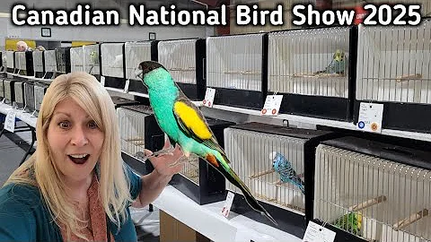 Show Birds Competing at the 66th Annual Canadian National Bird Show