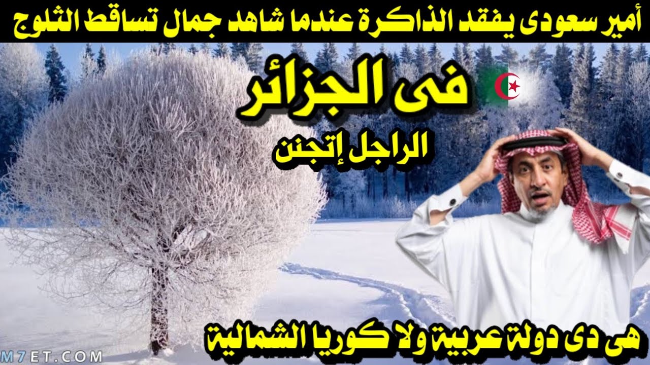 أمير سعودى يفقد الذاكرة عندما شاهد جمال تساقط الثلوج فى الجزائر/ هى دى دولة عربية ولا كوريا الشمالية