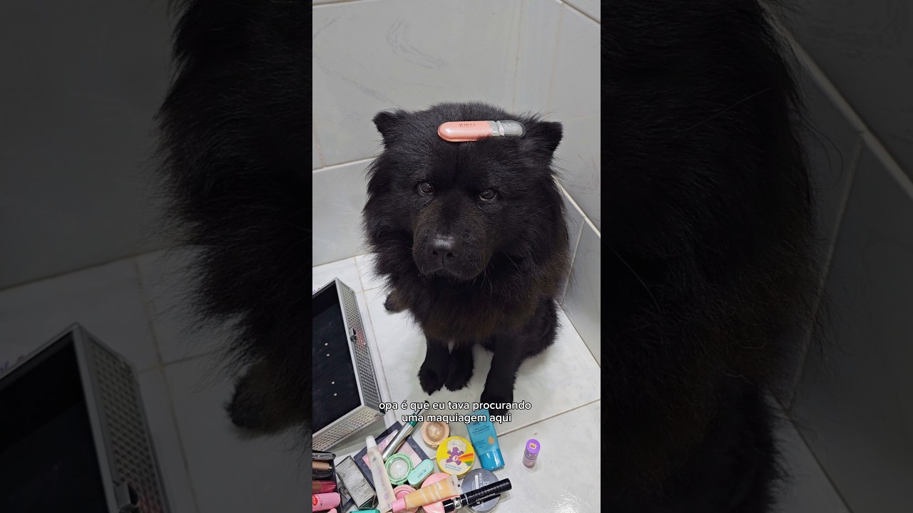 POSSO TE AJUDAR A FAZER A MAQUIAGEM 💜🐶 #humor #funny #shorts