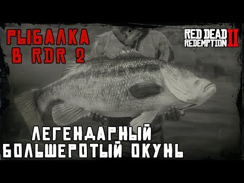 ЛЕГЕНДАРНЫЙ БОЛЬШЕРОТЫЙ ОКУНЬ - рыбалка в RDR 2