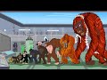 EVOLUTION OF NEW KONG: Size Comparison| Godzilla x Kong: The New Empire (2024)| Godzilla Monarch