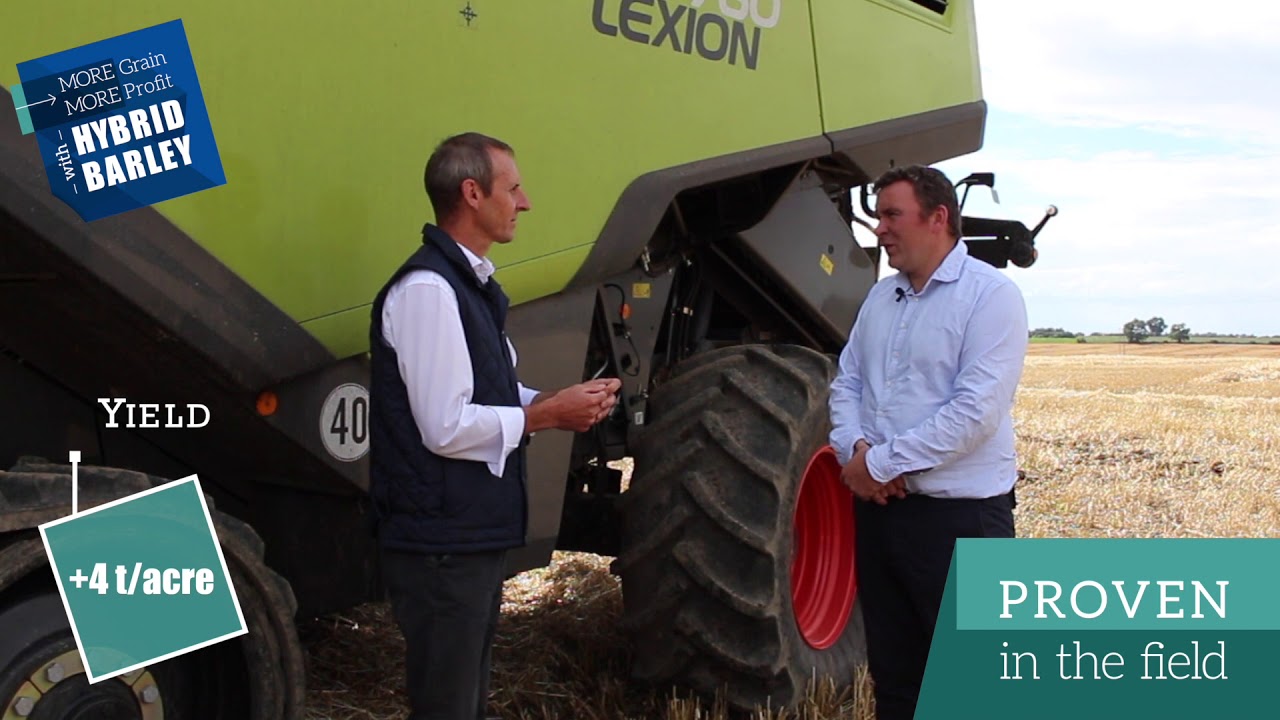 Kevin Nolan's success with Hybrid Barley