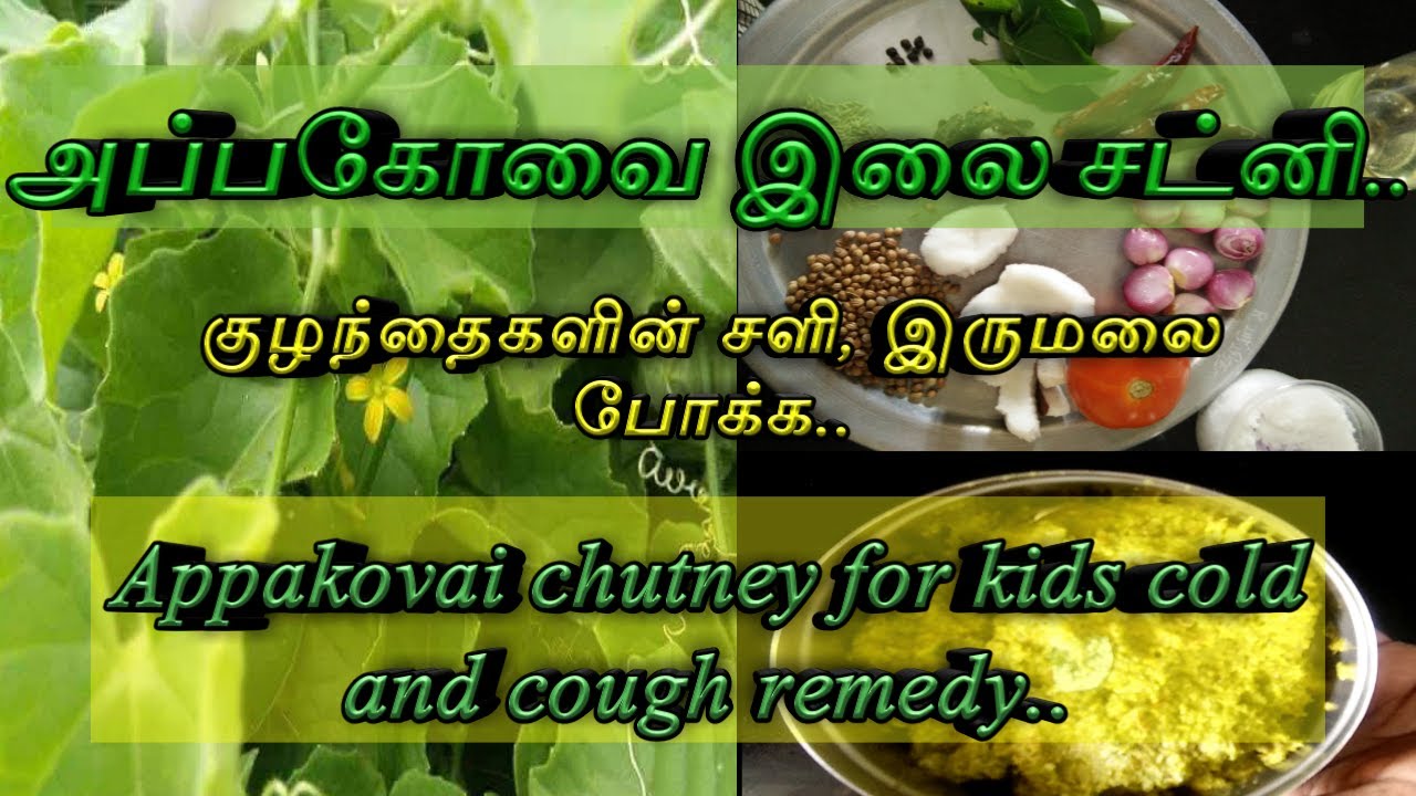 Appakovai chutney for kids cold and cough remedy YouTube