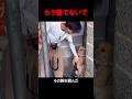 保護施設に来た記者の腕にしがみつく犬#shorts #dog#保護犬 #犬との暮らし