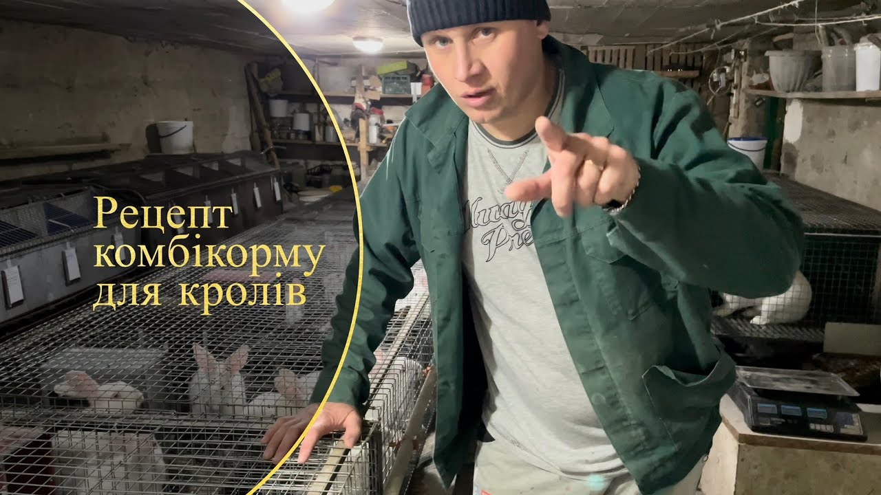 ЯК ЗРОБИТИ КОМБІКОРМ В ДОМА? ПЕРЕВІРЕНИЙ РЕЦЕПТ КОМБІКОРМУ НА ВЛАСНИХ КРОЛЯХ РОСТУТЬ ЯК ГРИБИ❓