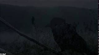Raven - The winter is here again ...