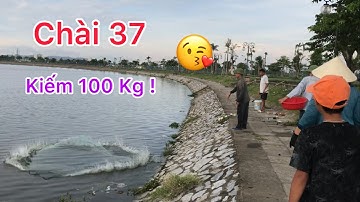 CHÀI CÁ RÔ PHI HƯNG HUGO