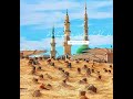 AjmalRazaQadri #Islamic#bayan #shorts