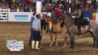 Jineteadas de caballos Festival de Doma y Folklore de Jesús María 2023 noche 7