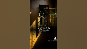 ما تيسر من سورة القيامة بصوت القارئ الشيخ خالد جليل الجزء 4 #تفاعلكم_سر_نجاحنا