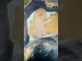 Mam S And Kittens Cat Kitten Cute Mam S And Kittens Cat Kitten Cute