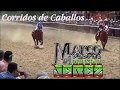 Descargar La Número 1 Banda Jerez - Corridos de Caballos Mix 2016 - OES14 Descargar La Número 1 Banda Jerez - Corridos de Caballos Mix 2016 - OES14