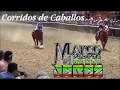 La Número 1 Banda Jerez - Corridos de Caballos Mix 2016