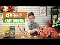 Супер элитный семенной картофель ☘ Как правильно выбрать картофель