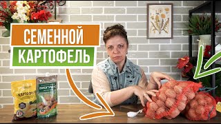 Супер элитный семенной картофель ☘ Как правильно выбрать картофель