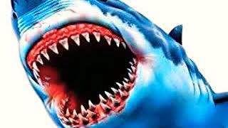 Great White Shark Roar