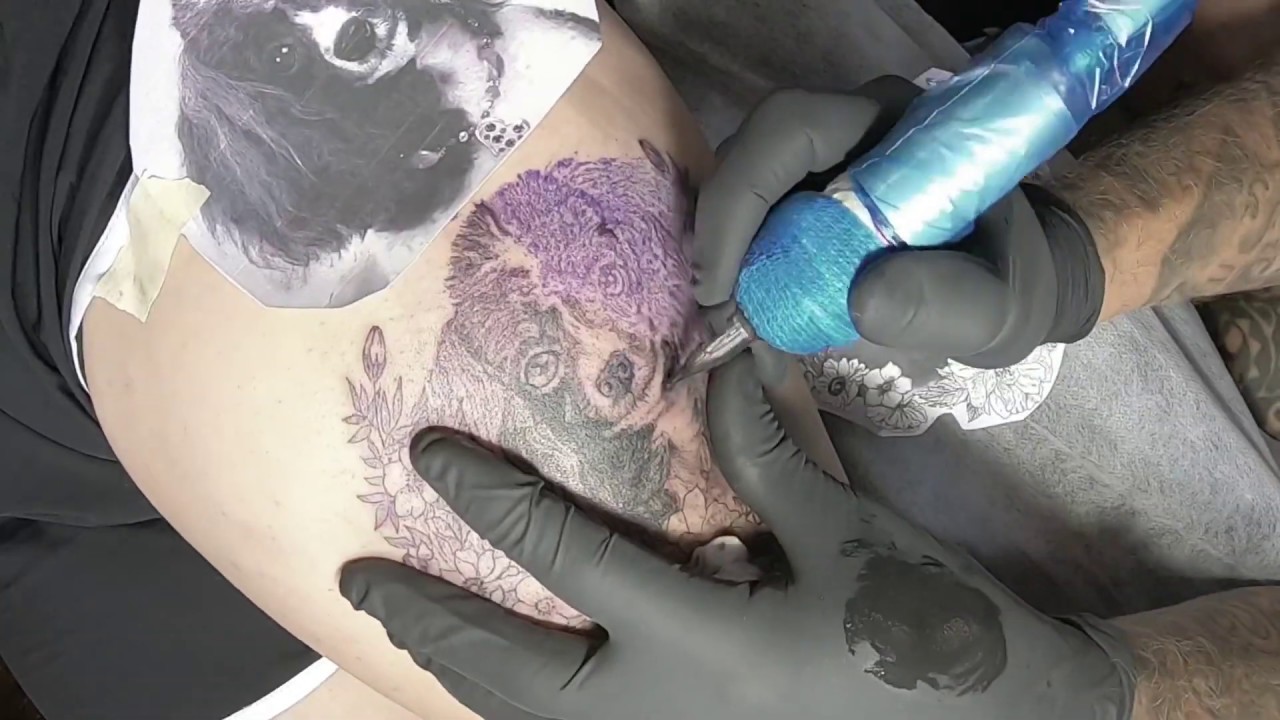 Dog Portrait tattoo,  TIMELAPSE