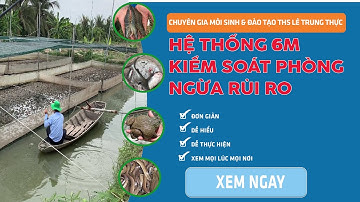BIẾT 6M THÌ GIẢM HƠN 6 LẦN RỦI RO TRONG NUÔI TÔM, CÁ,.NTTS