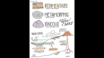 Classical Conversations Cycle 1 Week 14 Science - Memory Work Song