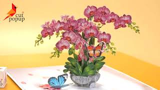 Phalaenopsis Orchids 3D Greeting Card for Mother’s Day