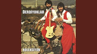 Dam Üstünde Uzun Uzun Bacalar
