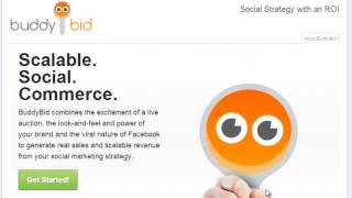 How to install BuddyBid