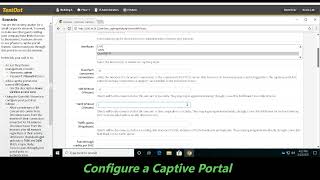2.4.6 Configure A Captive Portal Testout Lab