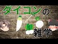 【ゆっくり解説】ダイコンとカブは何が違う?人気野菜"ダイコン"の秘密に迫る