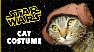 DIY Star Wars Princess Leia Cat Costume | DIY Princess Leia Costume | DIY Pet Costume