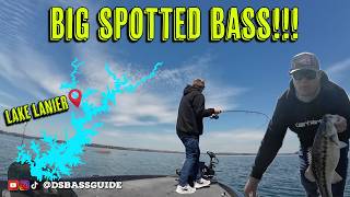 Catching BIG spotted bass on Lake Lanier....We're back