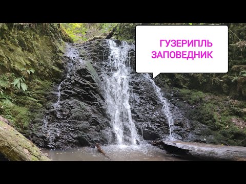 Видео: Гузерипль. Кавказский заповедник. Водопады. Музей природы. Цены