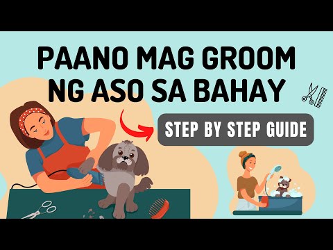 Video: Paano iikot ang buhok ng aso: mga tool at pamamaraan sa bahay