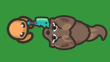 Fighting the new boss in taming io